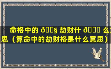 命格中的 🐧 劫财什 🐛 么意思（算命中的劫财格是什么意思）